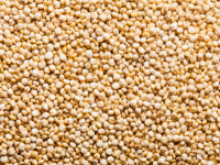 Quinoa (komosa ryżowa)