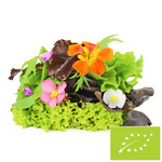 Mix sałat świeży niemyty bio (około 0,10 kg)