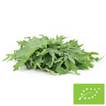 Jarmuż mix świeży bio (polska) (około 0,10 kg)