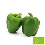 OPAKOWANIE ZBIORCZE (kg) - PAPRYKA ZIELONA ŚWIEŻA BIO (POLSKA) (około 3 kg)