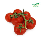 Pomidory na gałązce świeże BIO (około 0,45 kg)