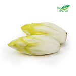 Cykoria świeża BIO (około 0,50 kg)