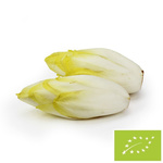 Cykoria świeża BIO (około 0,50 kg)