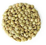 Soczewica zielona BIO (surowiec) (25 kg) 4