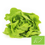 Sałata masłowa świeża bio (Polska) (około 0,18 kg)