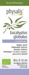 Olejek eteryczny eukaliptus gałkowy (eucalyptus globulus) bio 10 ml - Physalis