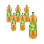 ZESTAW 6 x Kombucha herbata zielona bio 2 l