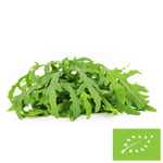 Rukola świeża bio (Polska) (około 100 g)