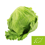 Sałata lodowa świeża BIO (Polska) (około 0,20 kg)
