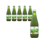 ZESTAW 6 x Sok z ogórka kiszonego bez cukru bio 300 ml