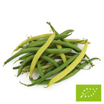 OPAKOWANIE ZBIORCZE (kg) - FASOLKA SZPARAGOWA ŚWIEŻA BIO (POLSKA) (około 5 kg)