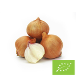 Cebula szalotka świeża BIO (około 0,50 kg)