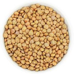 Soczewica brązowa BIO (surowiec) (25 kg) 6