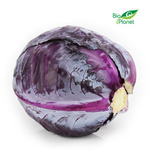 Kapusta czerwona świeża BIO (Polska) (około 1,50 kg)