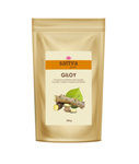 Giloy (Tinospora cordifolia) w proszku 100 g - SATTVA