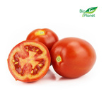 Pomidory podłużne świeże BIO (Polska) (około 0,50 kg)