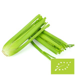 SELER NACIOWY ŚWIEŻY BIO (POLSKA) (około 0,35 kg)