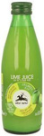 Sok z limonki nfc 100 % bio 250 ml