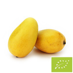 Mango ataulfo świeże bio