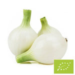 OPAKOWANIE ZBIORCZE (kg) - Cebula biała cukrowa świeża BIO (Polska) (około 5 kg)
